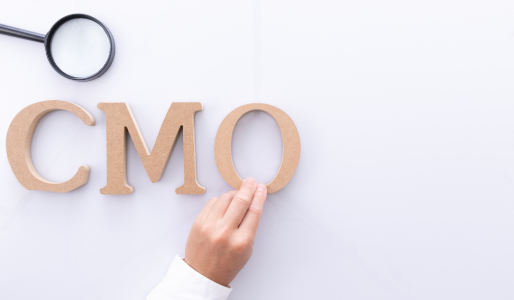 Where Can I Find A Fractional CMO? 